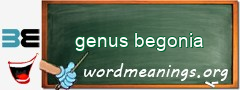 WordMeaning blackboard for genus begonia